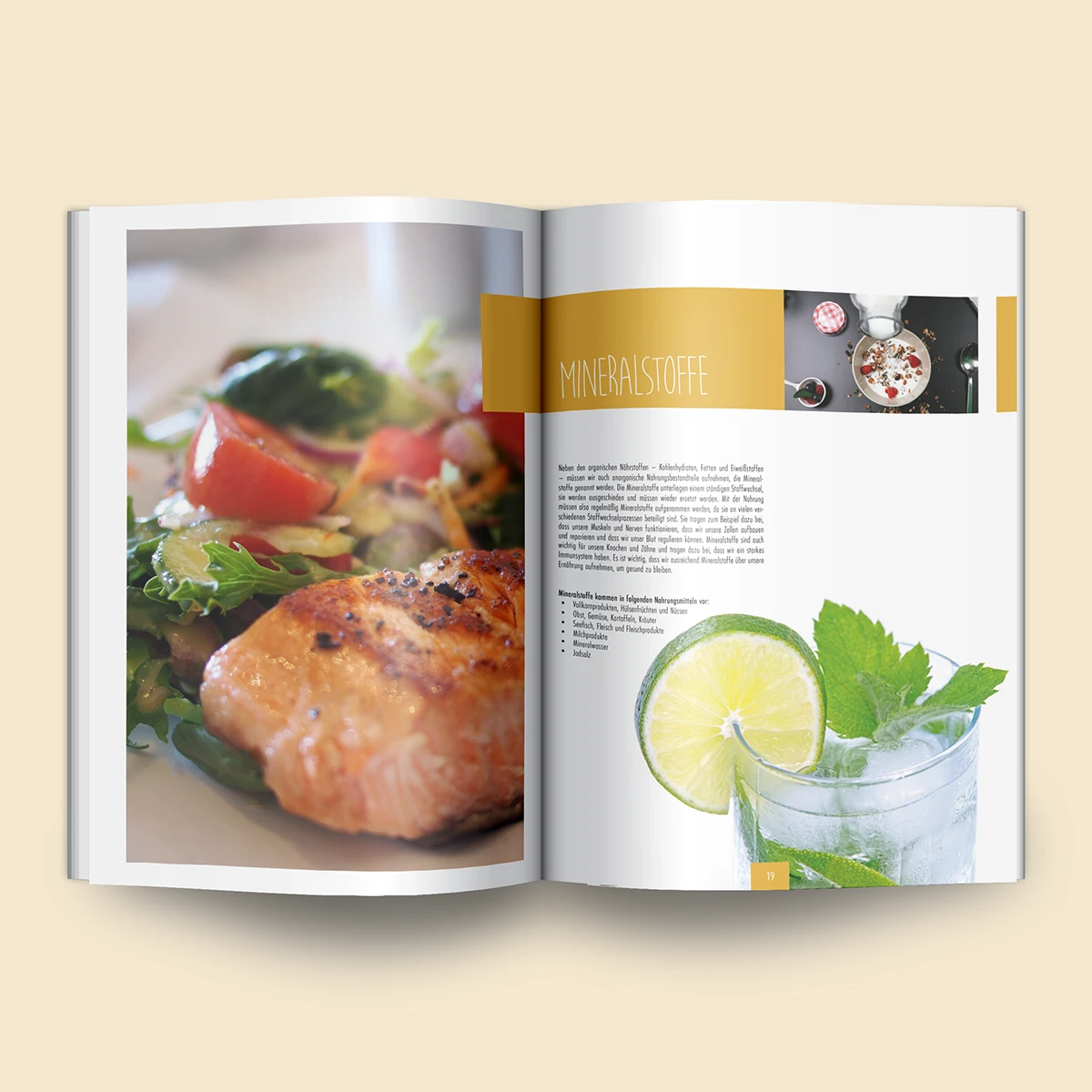 Schönes Layouts eines Handouts für den DHB-Hessen e.V.