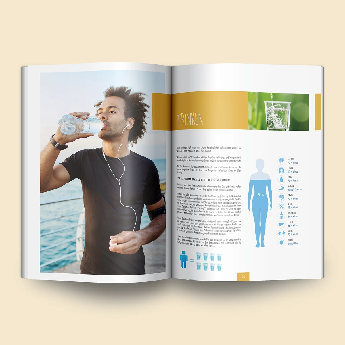 Schönes Layouts eines Handouts für den DHB-Hessen e.V.