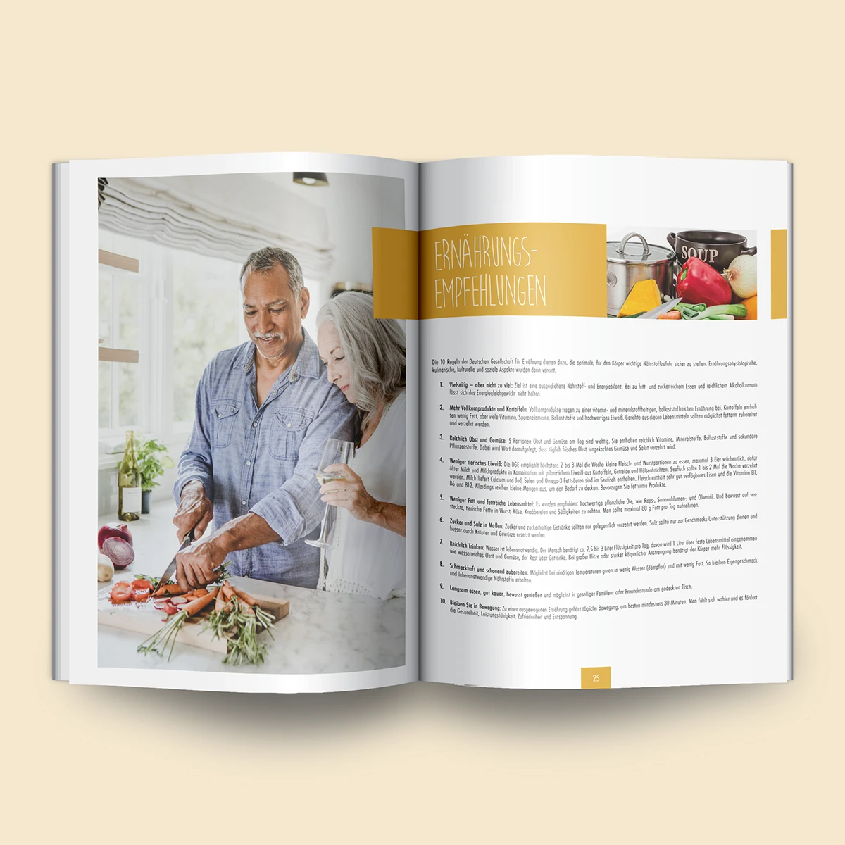 Schönes Layouts eines Handouts für den DHB-Hessen e.V.