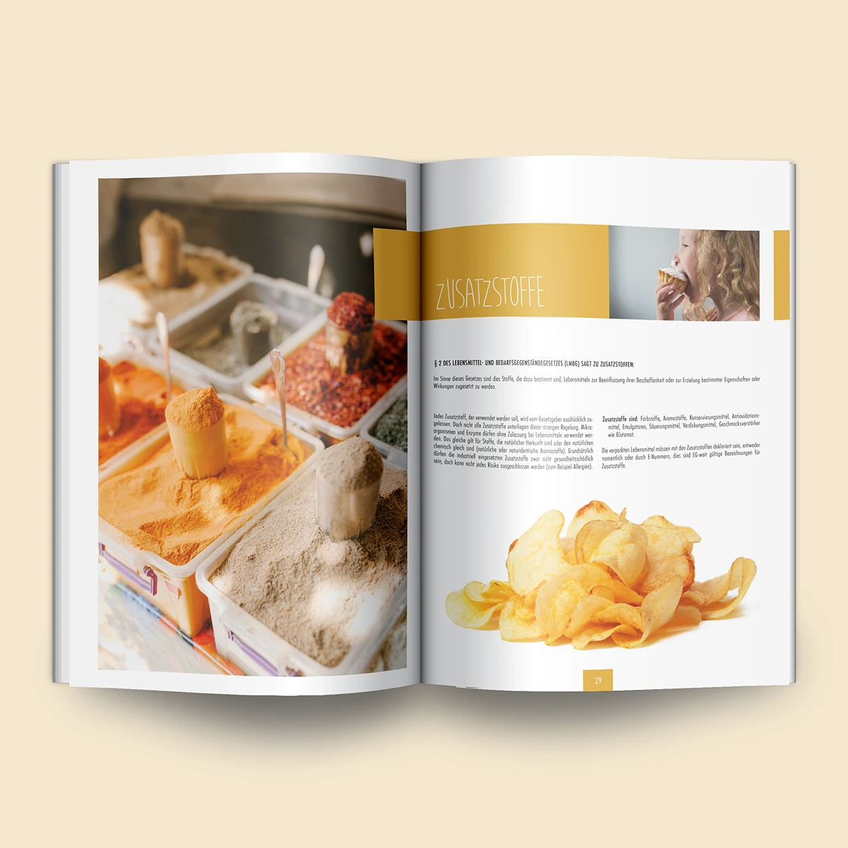 Schönes Layouts eines Handouts für den DHB-Hessen e.V.