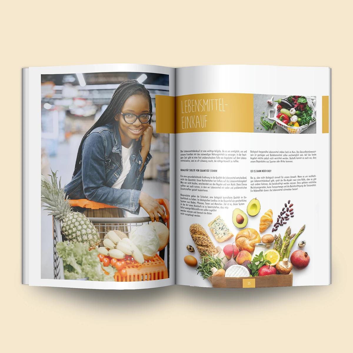 Schönes Layouts eines Handouts für den DHB-Hessen e.V.