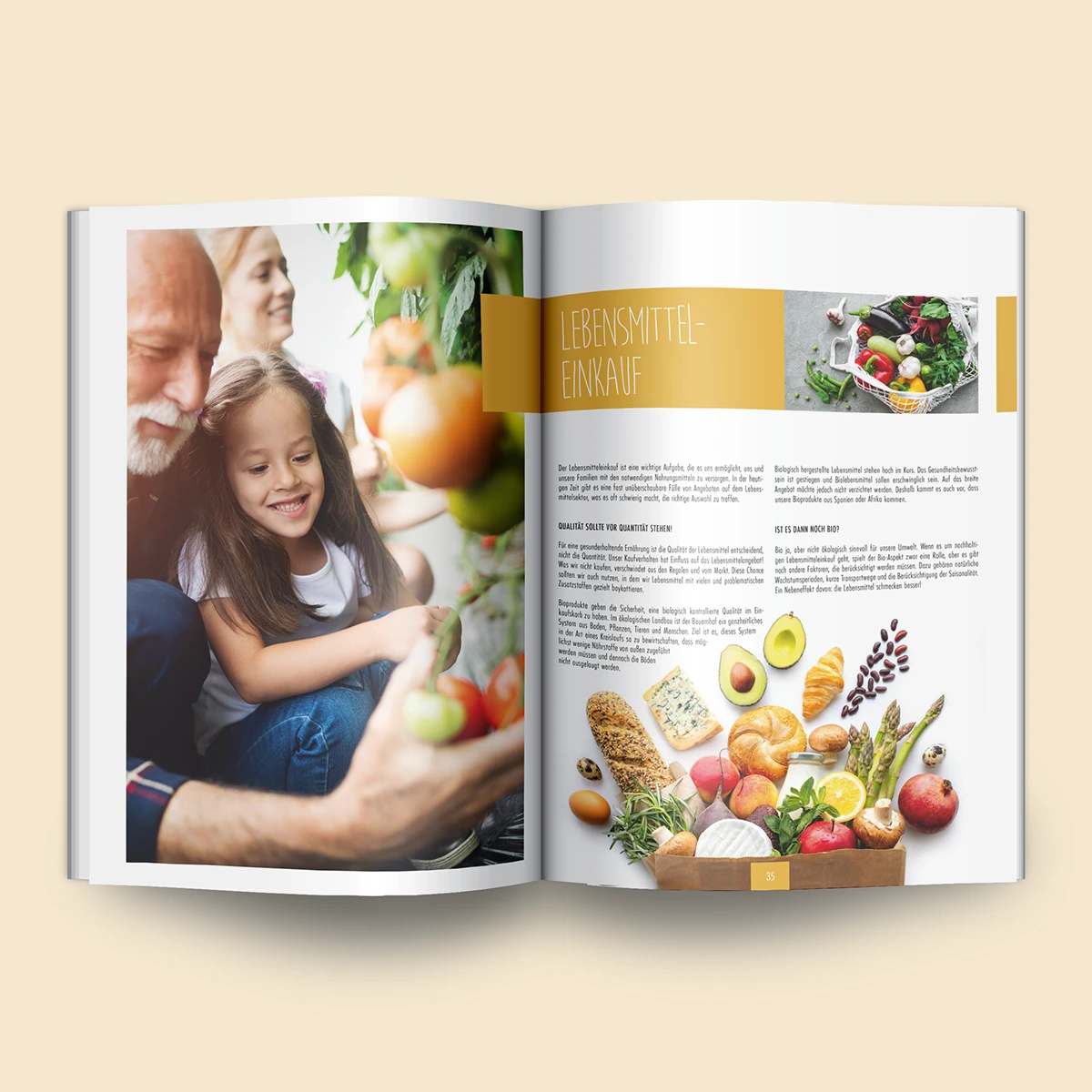 Schönes Layouts eines Handouts für den DHB-Hessen e.V.