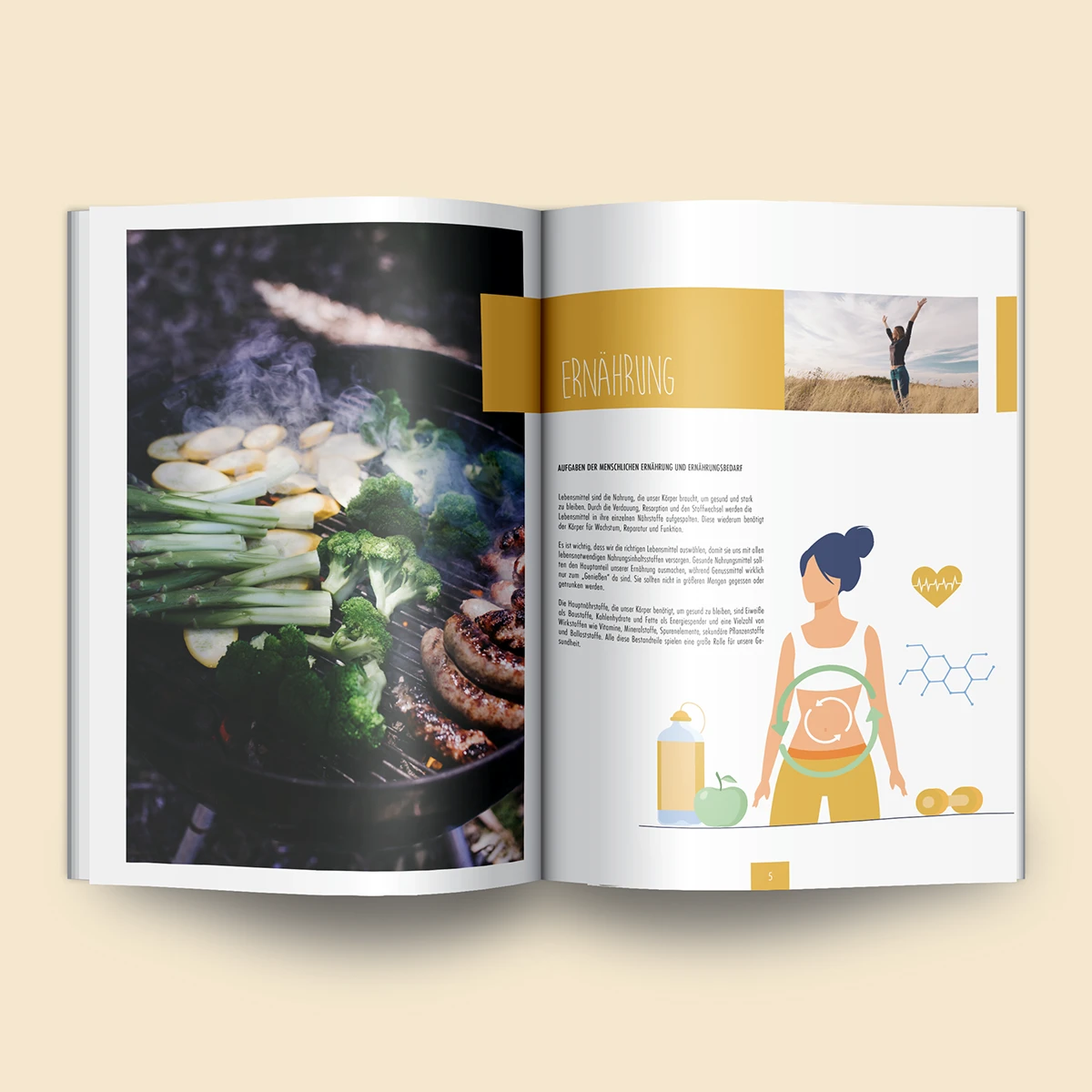 Schönes Layouts eines Handouts für den DHB-Hessen e.V.