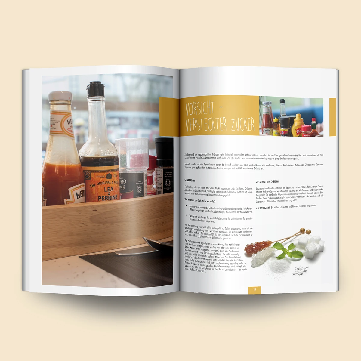 Schönes Layouts eines Handouts für den DHB-Hessen e.V.