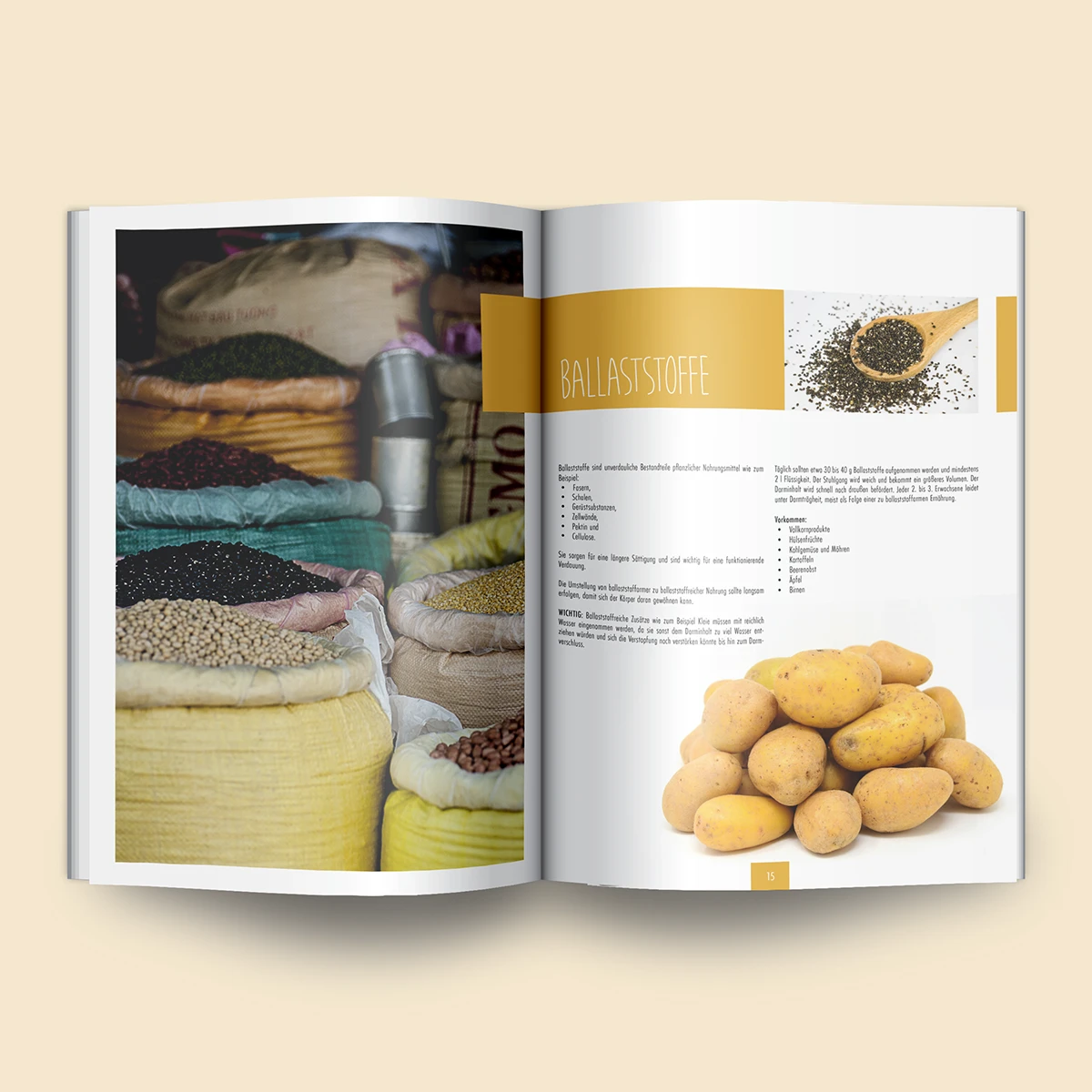 Schönes Layouts eines Handouts für den DHB-Hessen e.V.