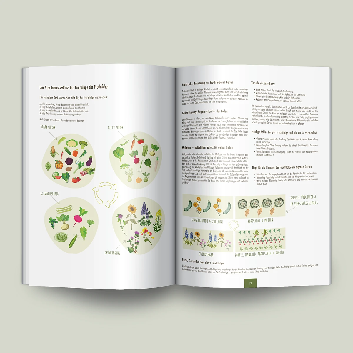 Schönes Layouts eines Handouts für den DHB-Hessen e.V.