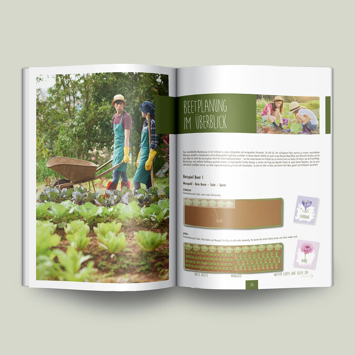 Schönes Layouts eines Handouts für den DHB-Hessen e.V.