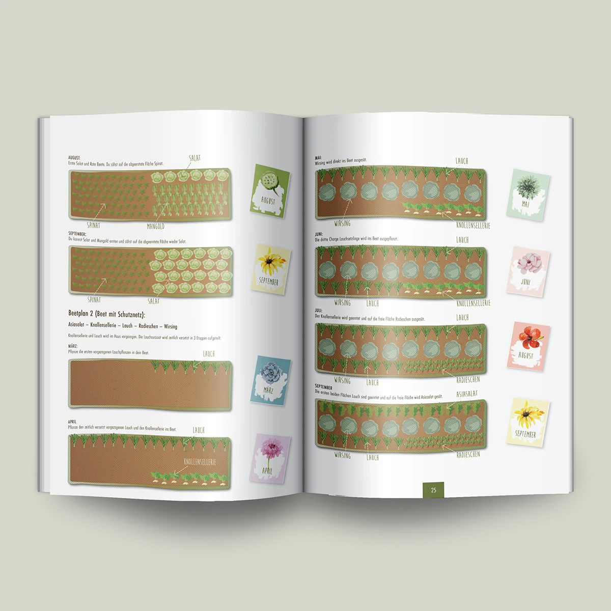 Schönes Layouts eines Handouts für den DHB-Hessen e.V.