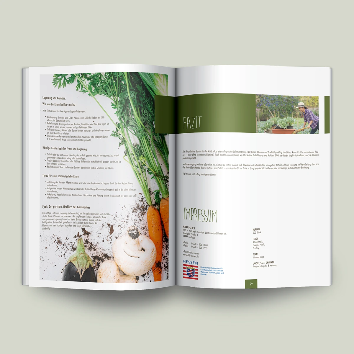 Schönes Layouts eines Handouts für den DHB-Hessen e.V.