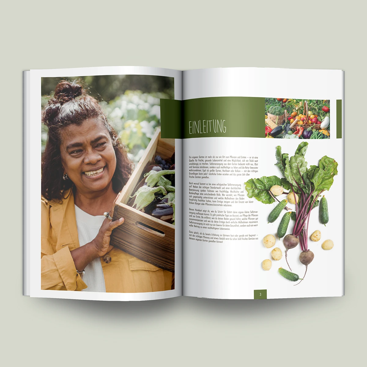 Schönes Layouts eines Handouts für den DHB-Hessen e.V.