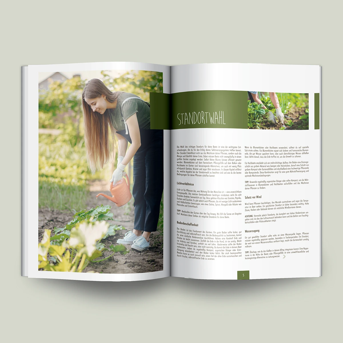 Schönes Layouts eines Handouts für den DHB-Hessen e.V.