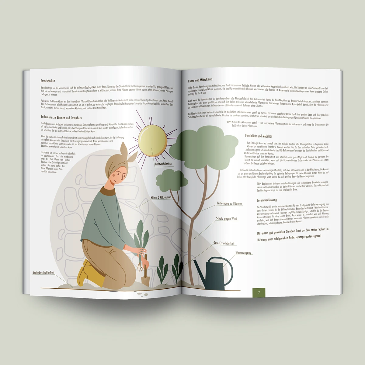 Schönes Layouts eines Handouts für den DHB-Hessen e.V.