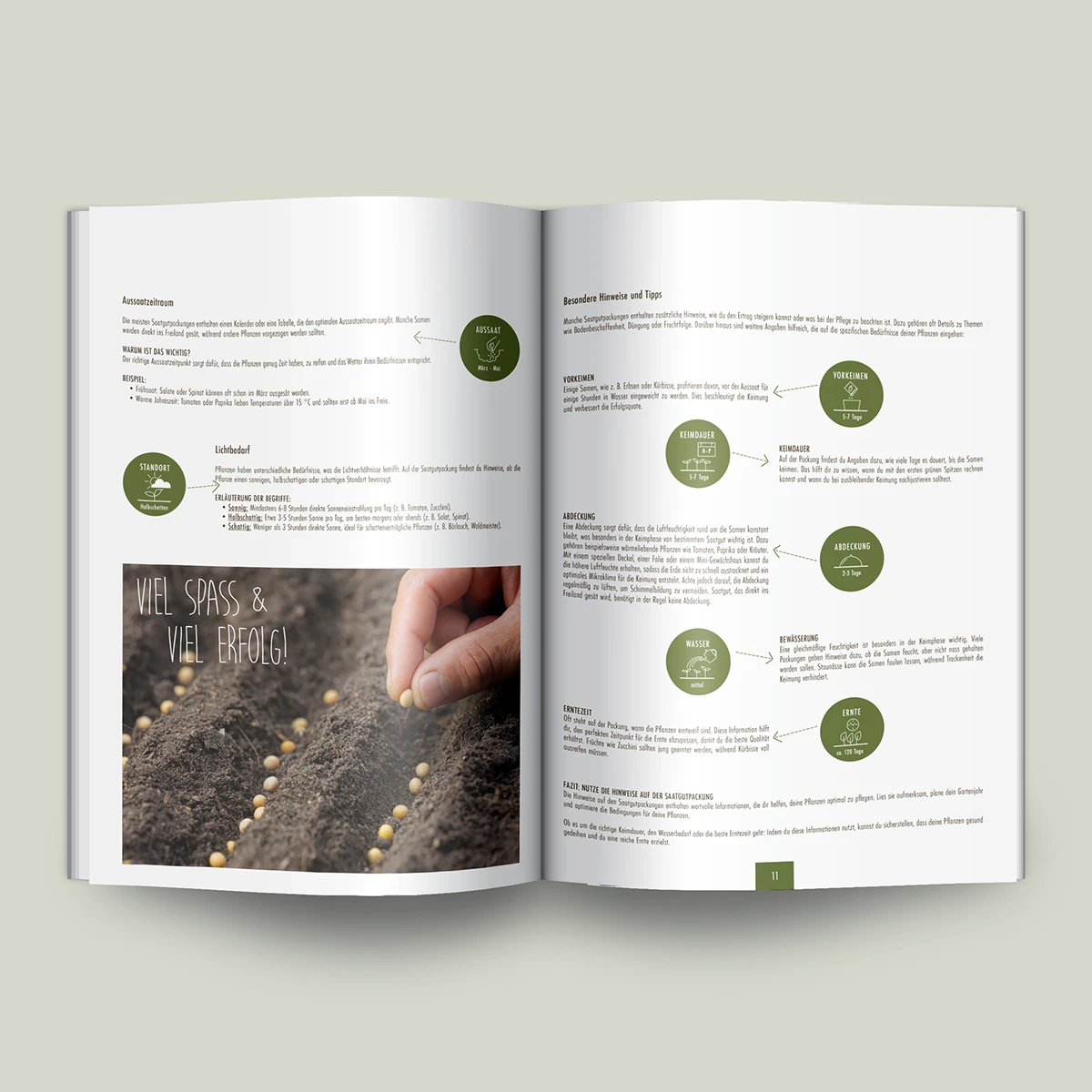 Schönes Layouts eines Handouts für den DHB-Hessen e.V.