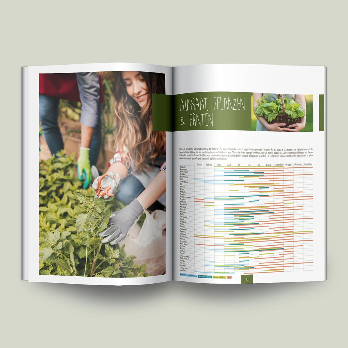 Schönes Layouts eines Handouts für den DHB-Hessen e.V.