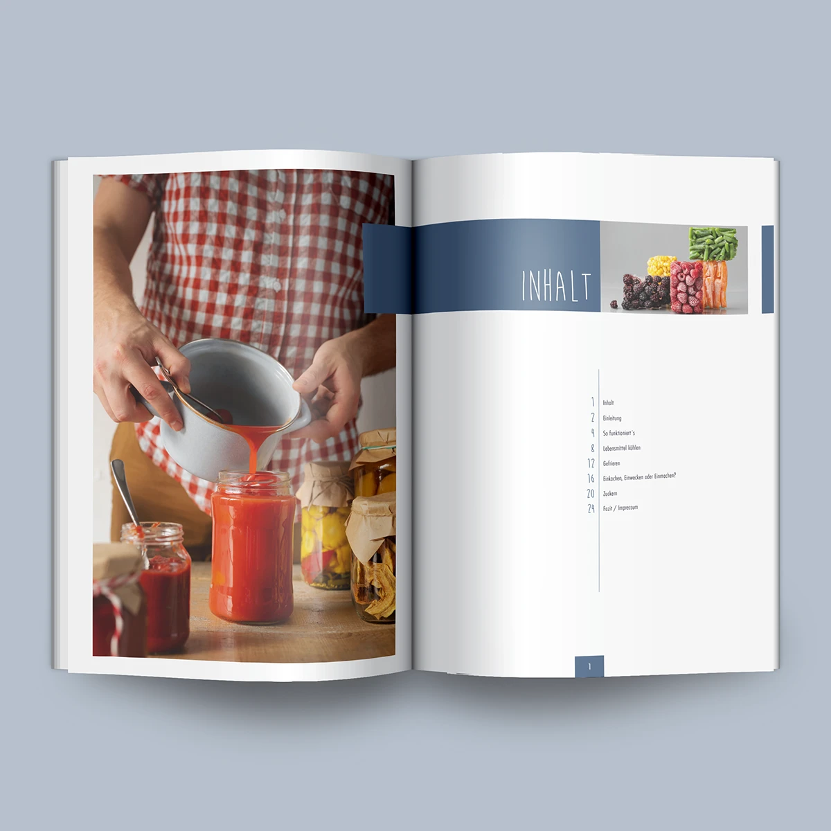 Schönes Layouts eines Handouts für den DHB-Hessen e.V.