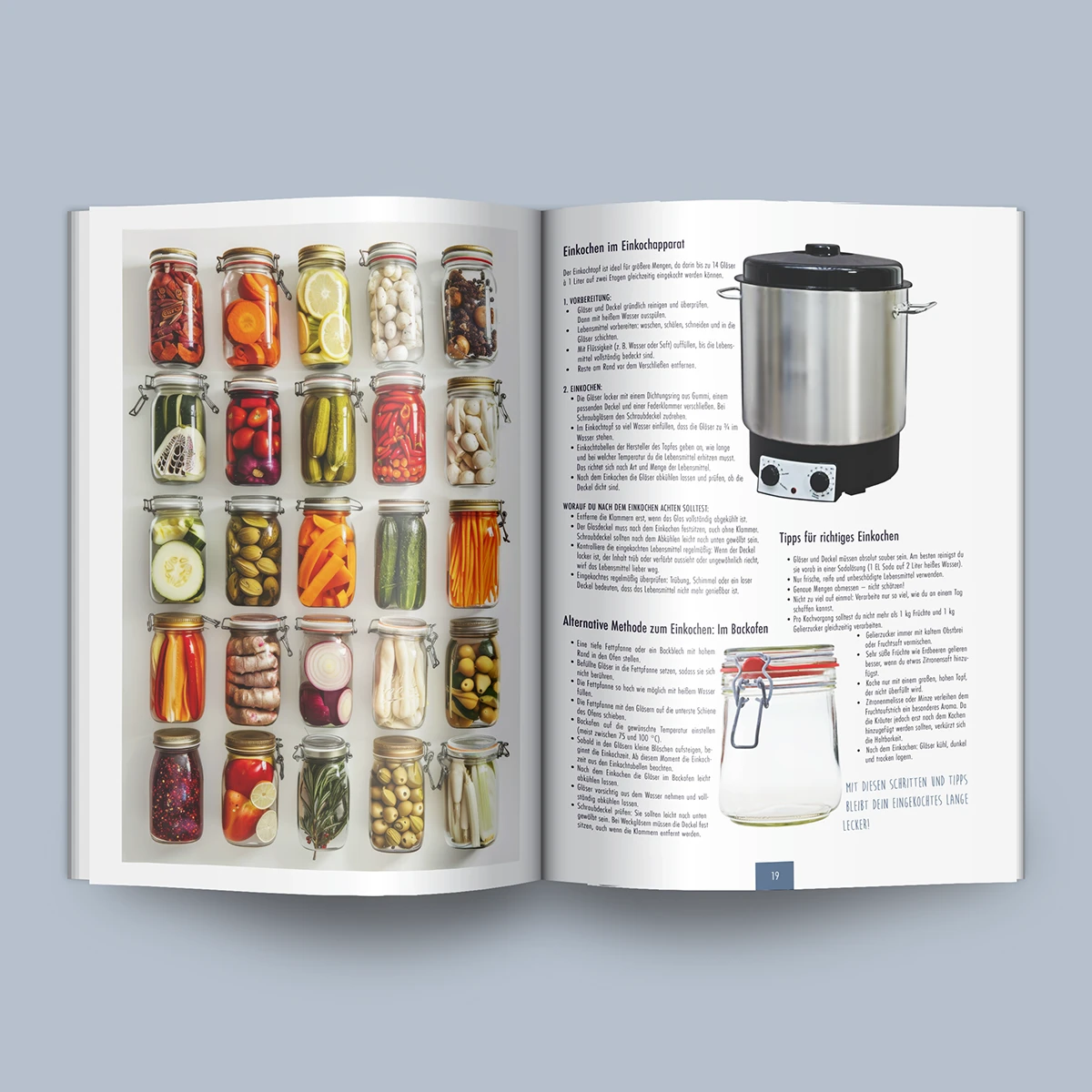 Schönes Layouts eines Handouts für den DHB-Hessen e.V.