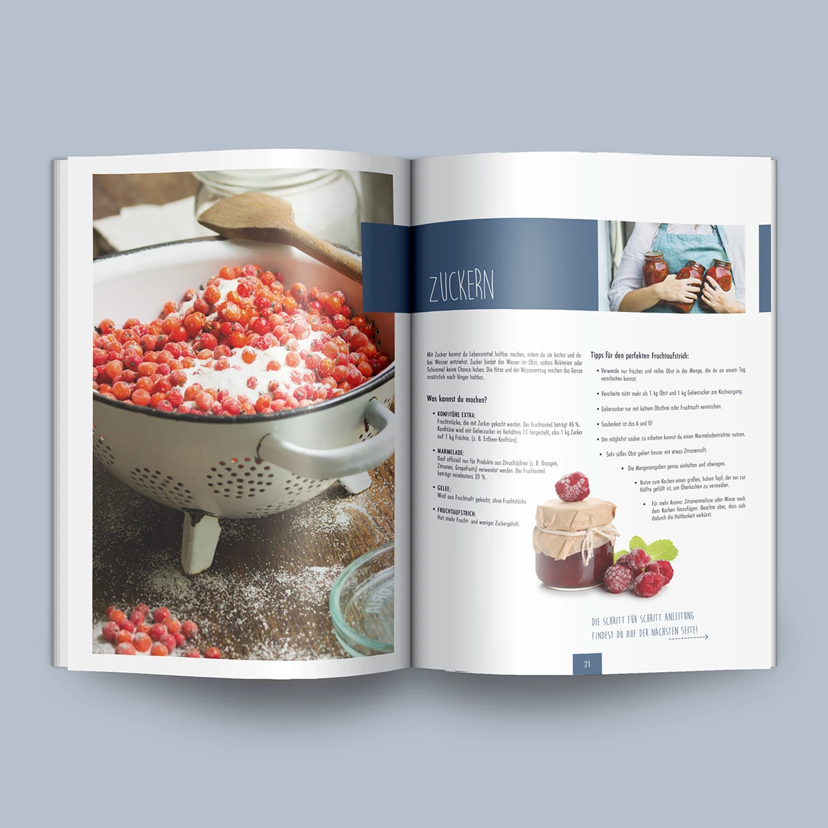 Schönes Layouts eines Handouts für den DHB-Hessen e.V.