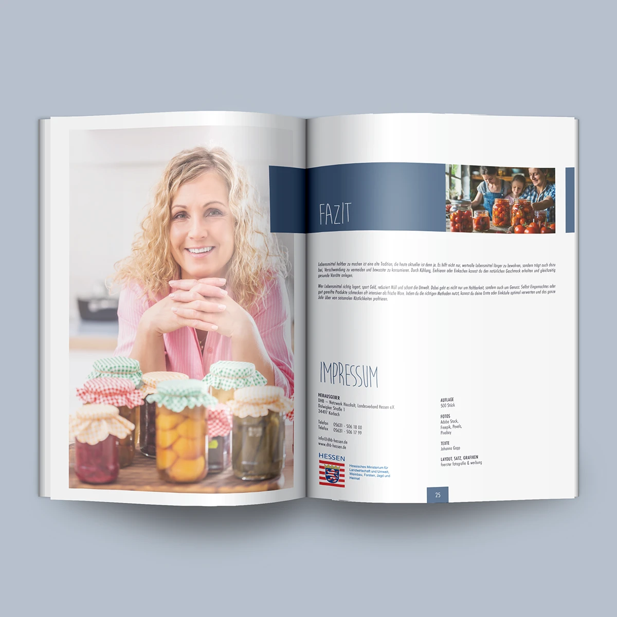 Schönes Layouts eines Handouts für den DHB-Hessen e.V.