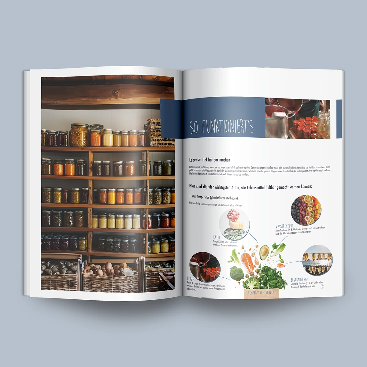 Schönes Layouts eines Handouts für den DHB-Hessen e.V.