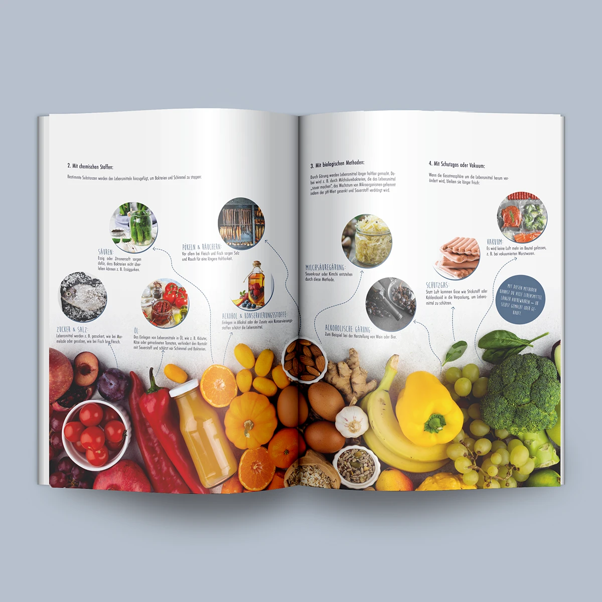 Schönes Layouts eines Handouts für den DHB-Hessen e.V.