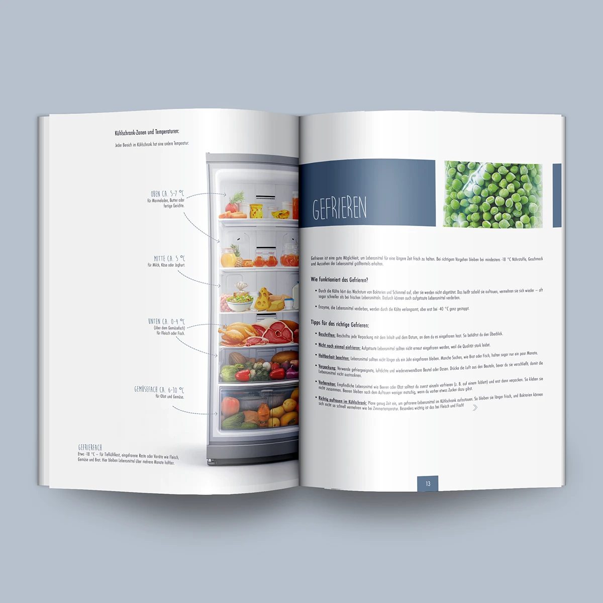 Schönes Layouts eines Handouts für den DHB-Hessen e.V.