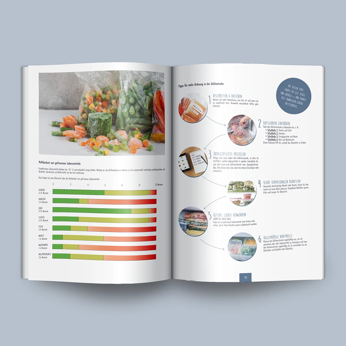 Schönes Layouts eines Handouts für den DHB-Hessen e.V.