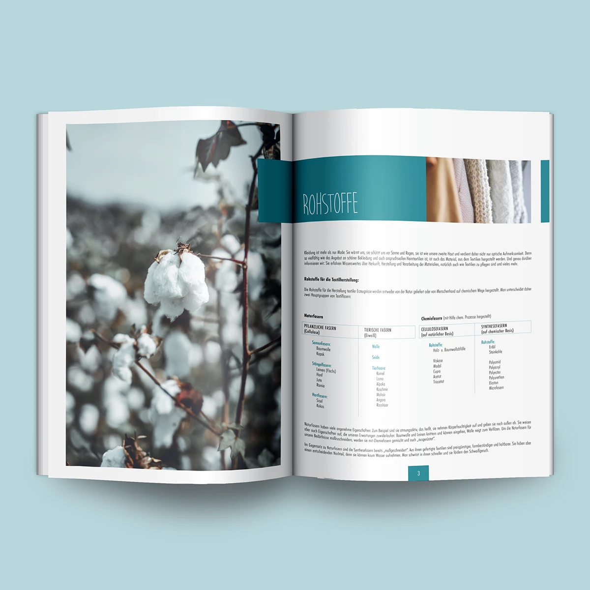 Schönes Layouts eines Handouts für den DHB-Hessen e.V.