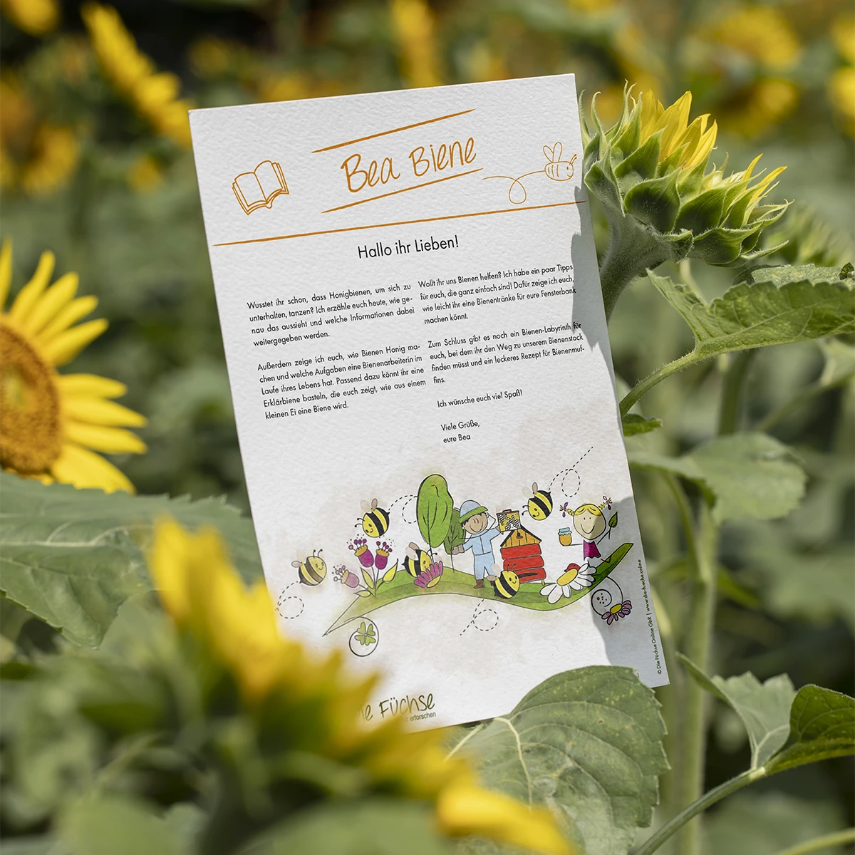 Einführung in die Figur BEA, die Biene, in den Schulungsunterlagen