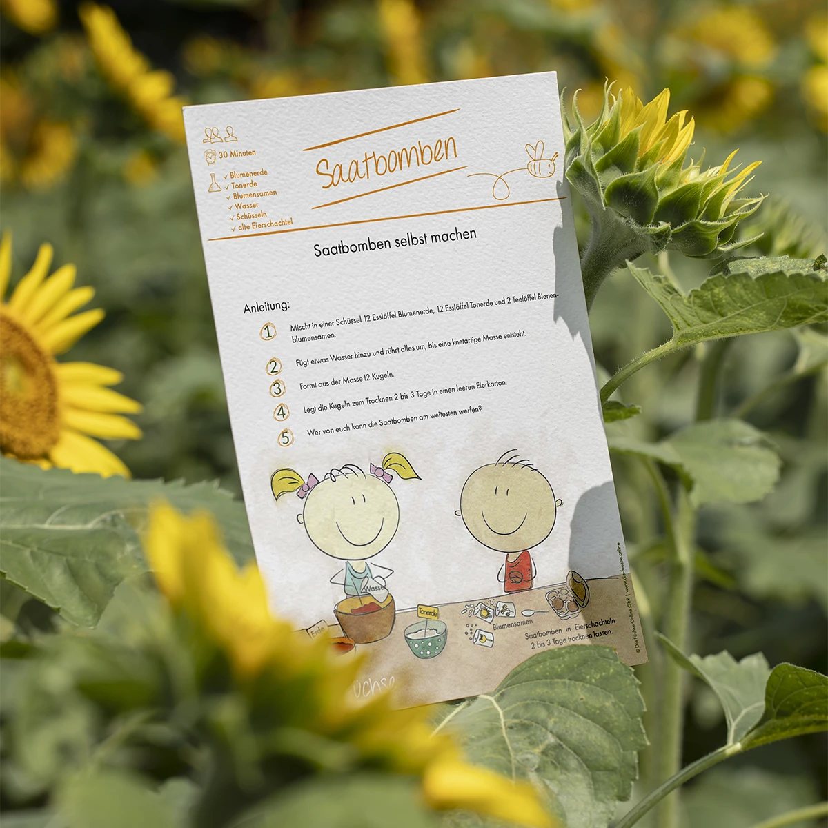 Detailansicht kindgerechter Bienen-Zeichnungen in den Schulungsunterlagen