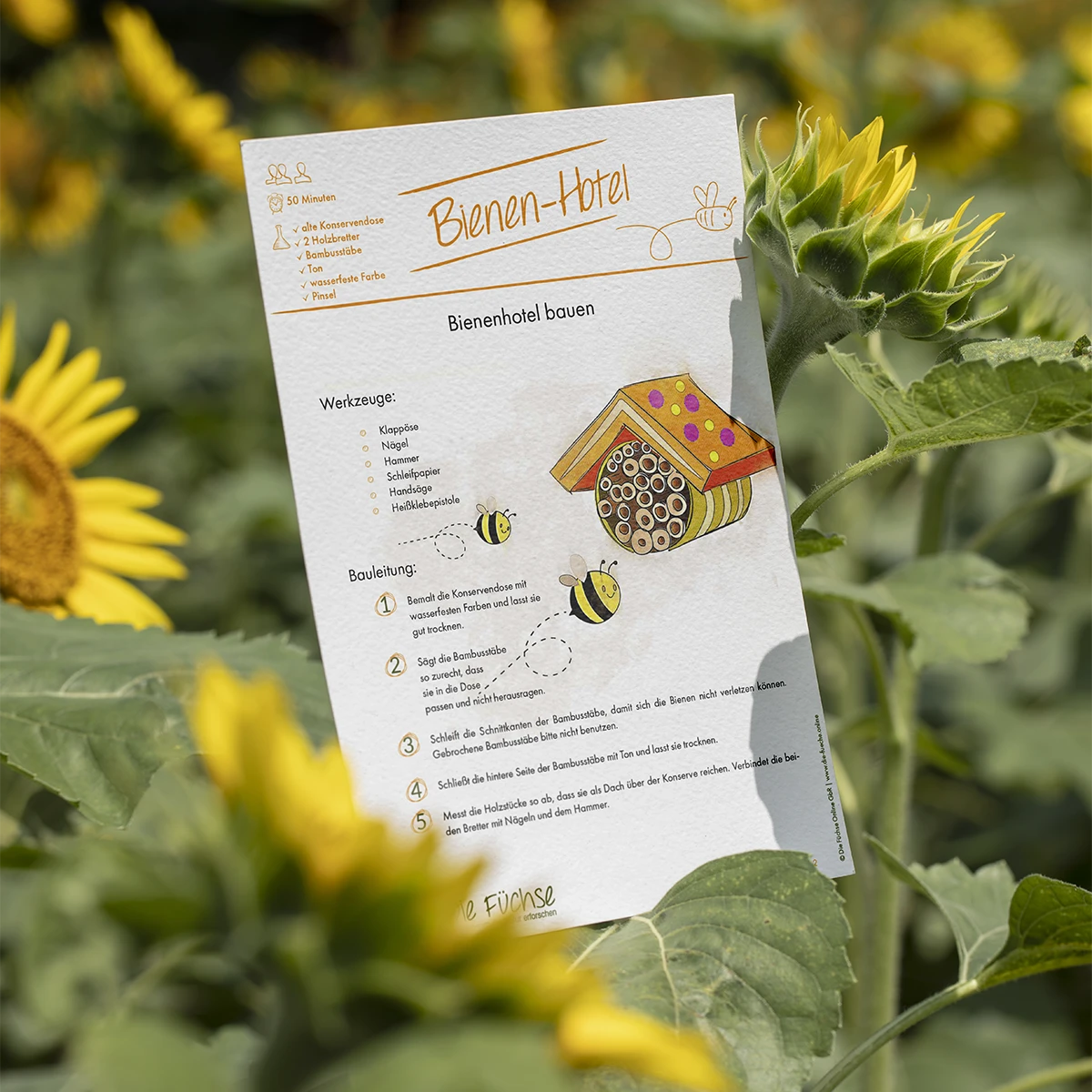 Aufbau und Layout der BEA-Schulungsunterlagen