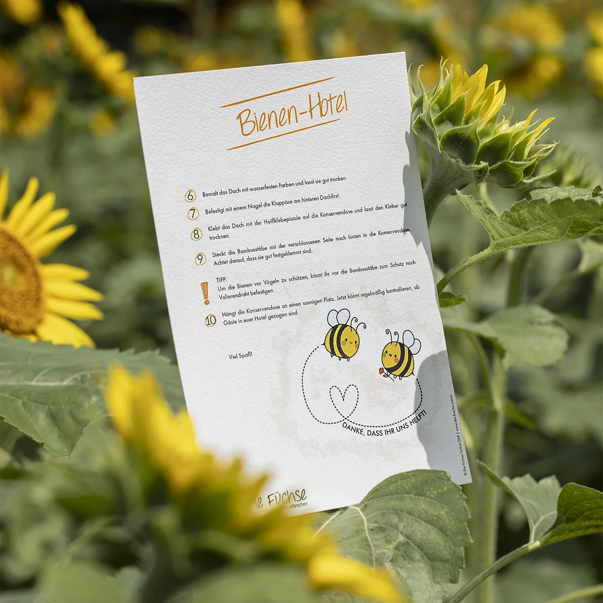 Arbeitsblatt-Seiten aus dem BEA-Modul