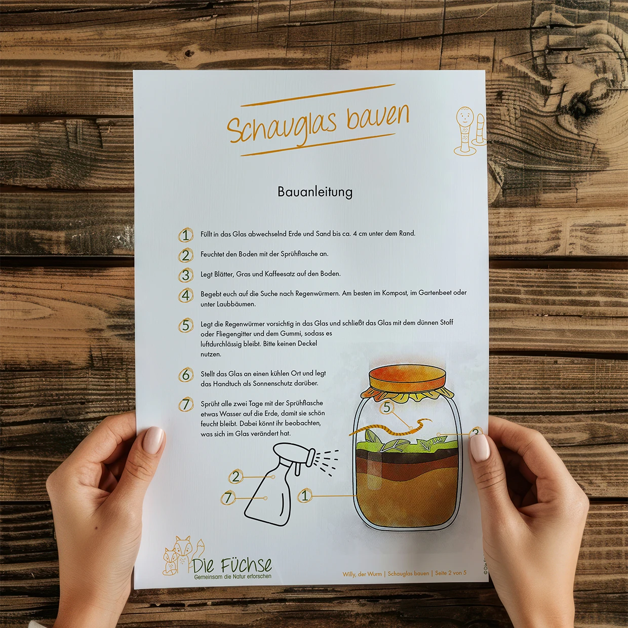 Sachseite über Regenwürmer und ihre Bedeutung für den Boden