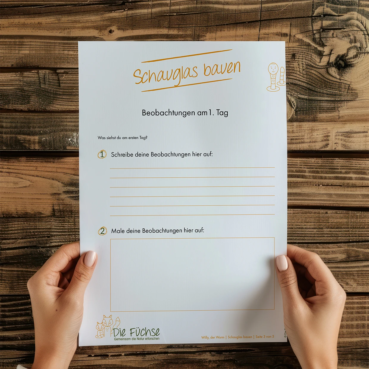 Anleitung zum Regenwurm-Schauglas mit Beobachtungsaufgaben