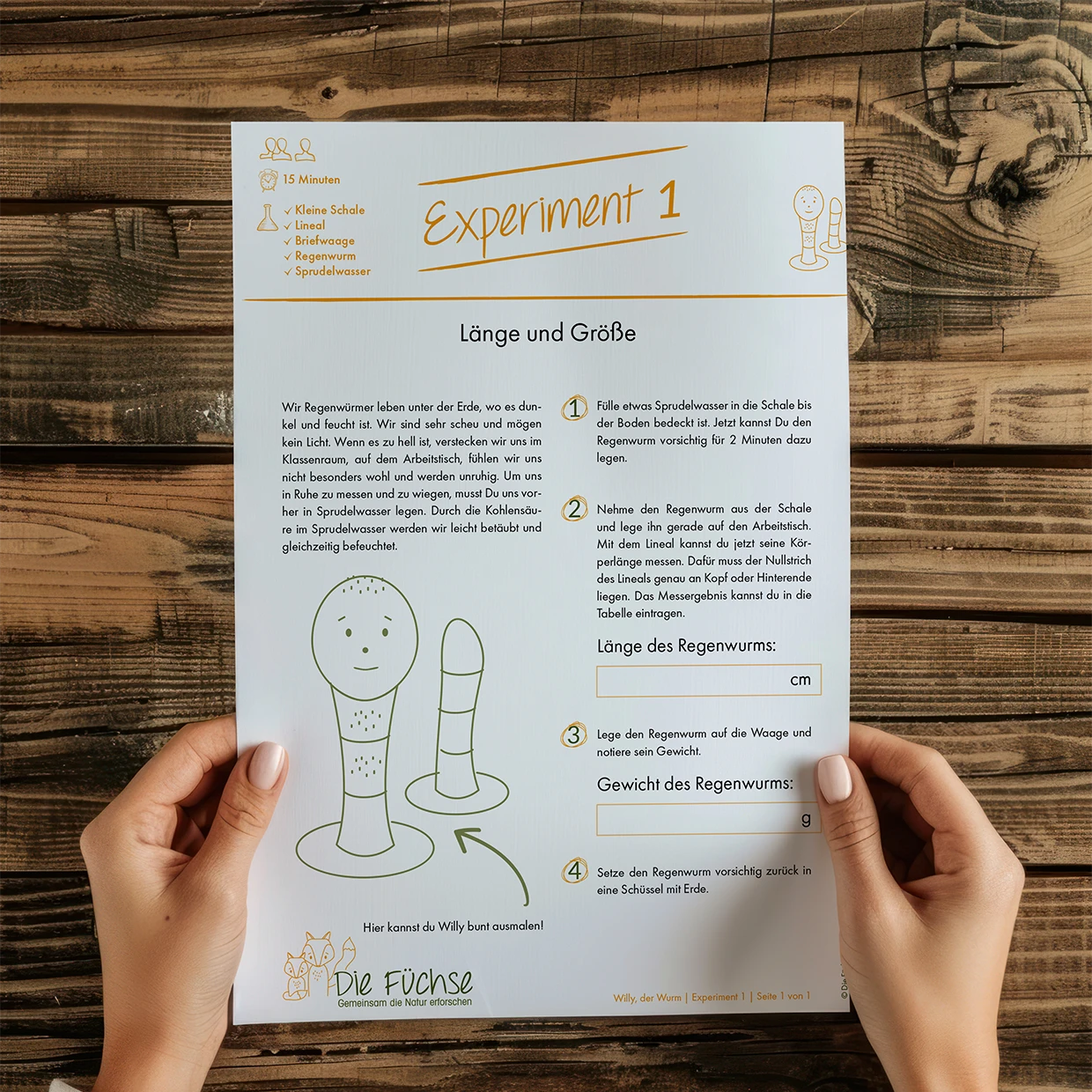 Experimentseiten zur Beobachtung und Messung von Regenwürmern
