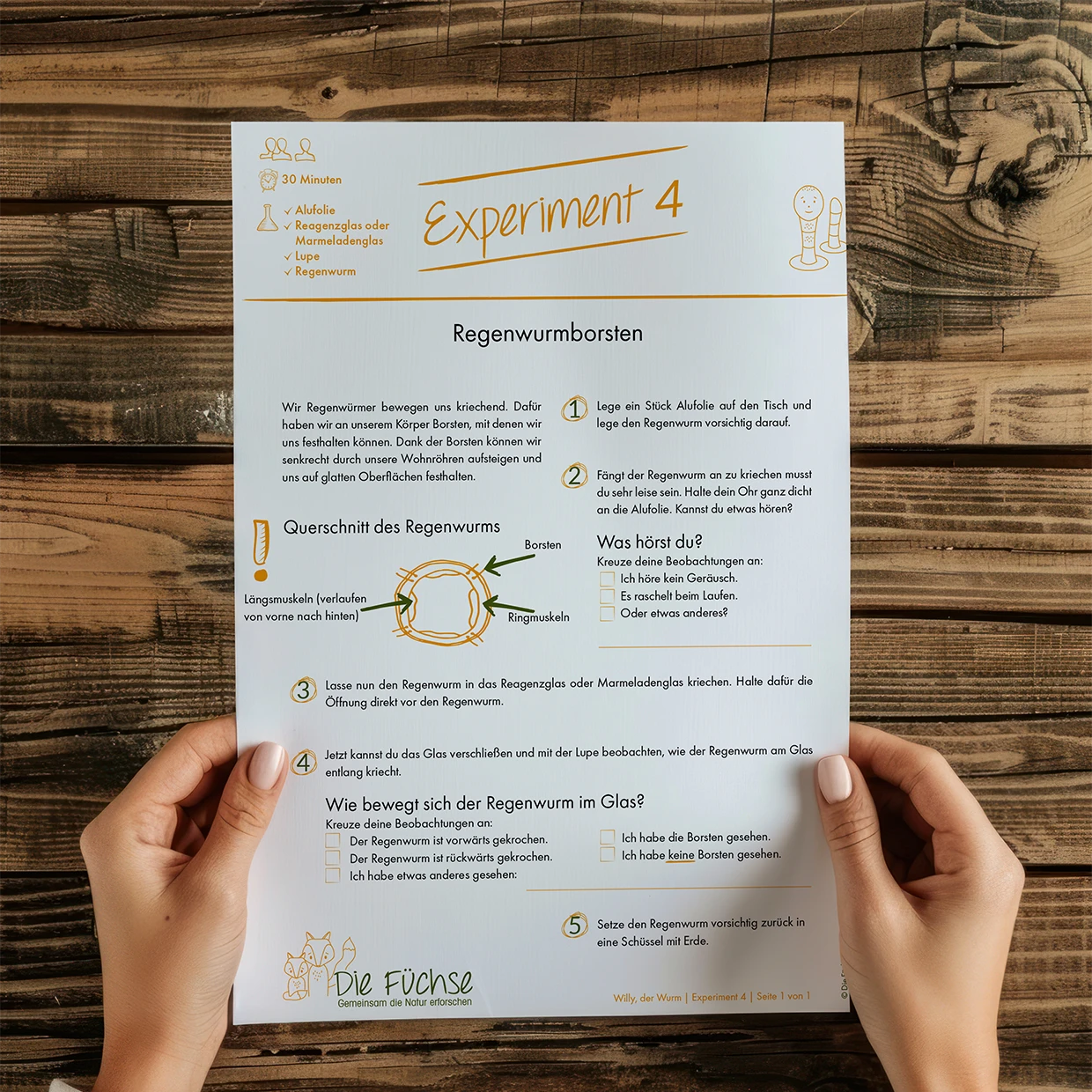 Regenwurm-Spiel aus den Schulungsunterlagen