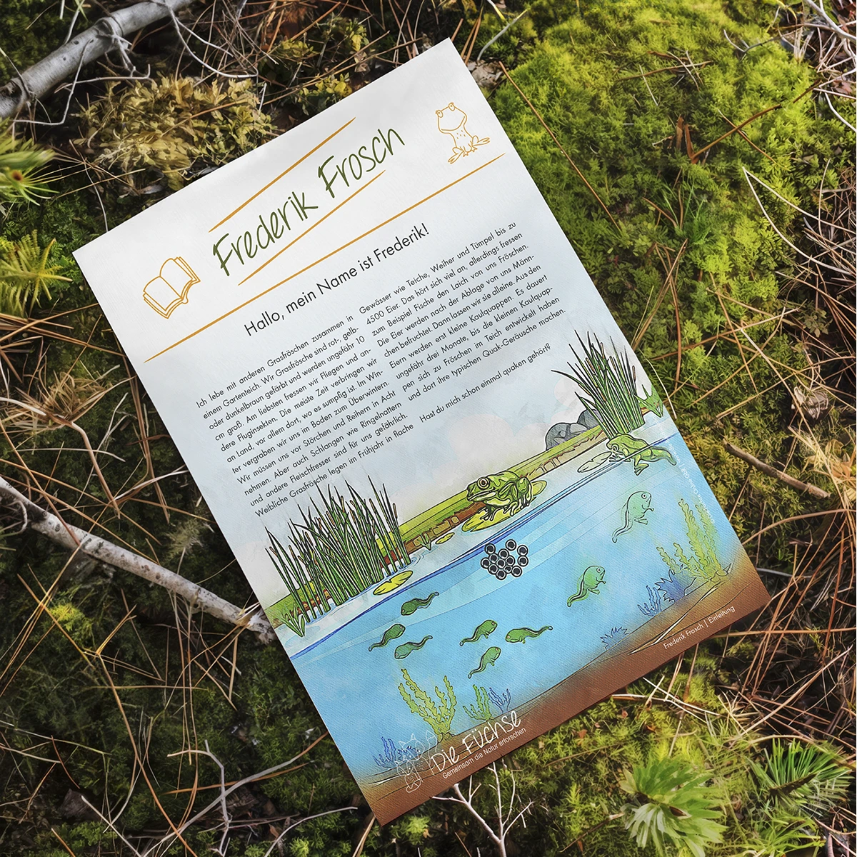 Einführung in die Figur Frederik Frosch in den Schulungsunterlagen