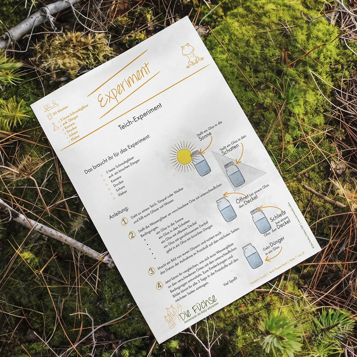 Experimentseiten der Schulungsunterlagen mit Beobachtungsprotokollen