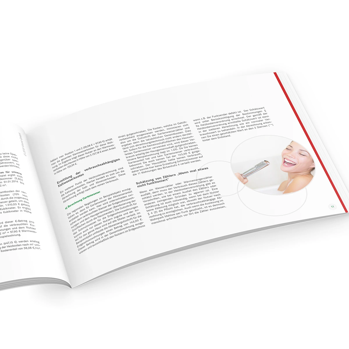 Schönes Layouts eines Handouts für die Vivant GmbH